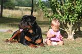 ENFANT ET CHIEN 610